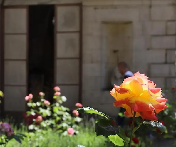 Les Deux Marguerite Gasthuis 3*